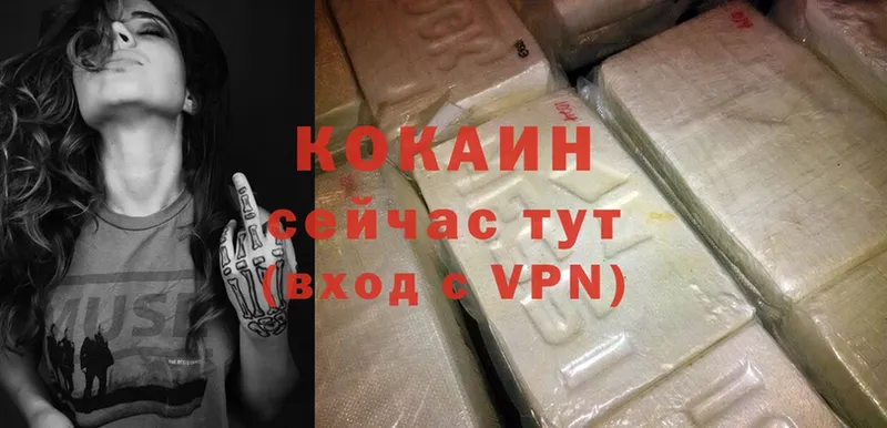 купить закладку  Курильск  COCAIN Fish Scale 