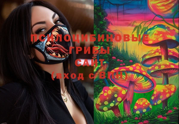 дживик Осташков