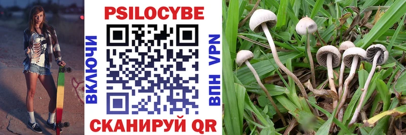 Псилоцибиновые грибы Magic Shrooms  Курильск 